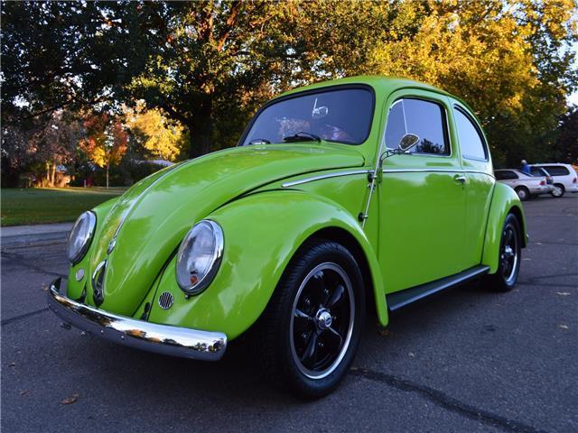 1959 Volkswagen Beetle-New N/A