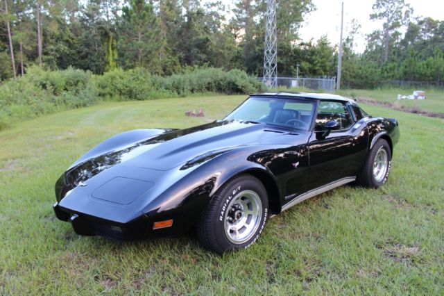 1979 Chevrolet Corvette StingRay T-Top - 77+ Pictures - MUST SEE
