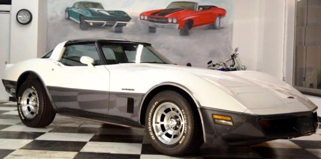 1982 Chevrolet Corvette OVER $27K IN RECEIPTS & RUNS GREAT